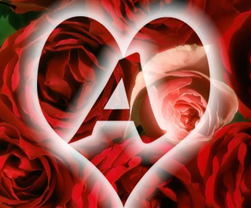 ali&nbsp;ahmad abadi